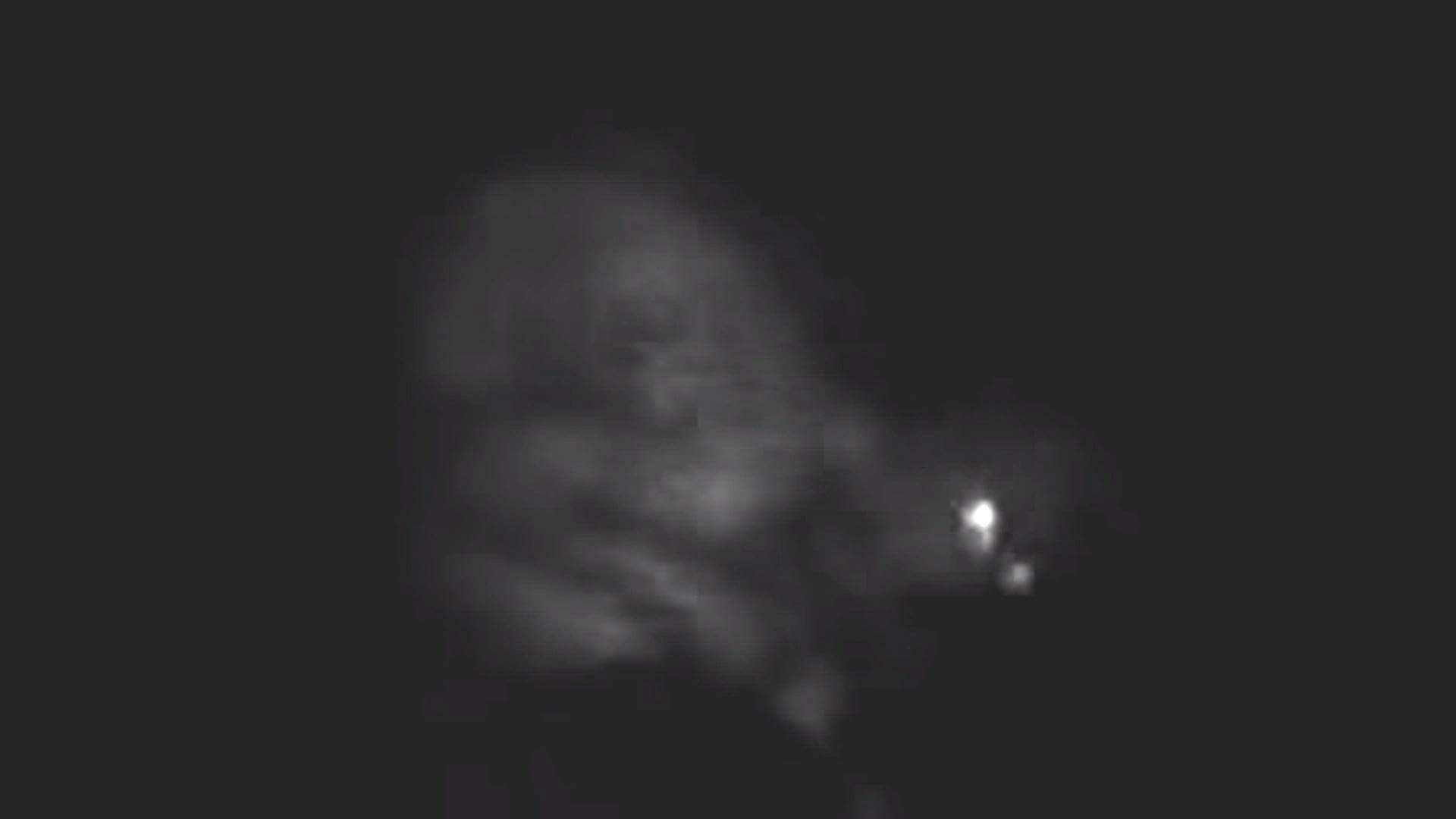 Rake Alien Creature Caught On Tape