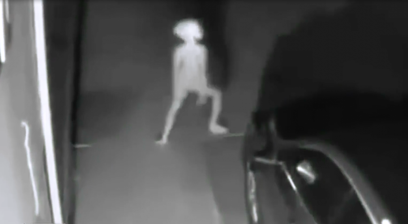 the "CCTV Dobby Looking Creature In Woman's Driveway" video